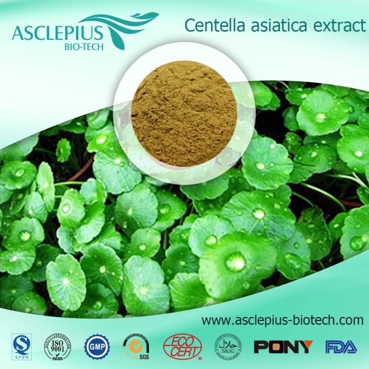 Veľkoobchodný predaj práškového extraktu Cordycepin, cordyceps Sinensis